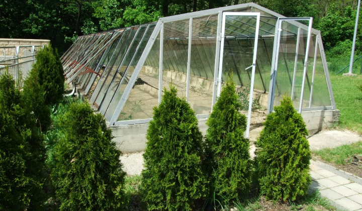 7. fotografia fotogalérie Vonkajší areál