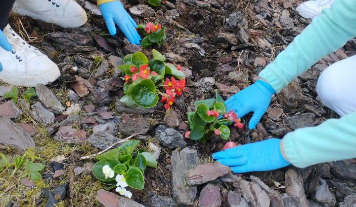 1. fotografia fotogalérie Príležitostné terapeutické aktivity  / Sadenie kvetov - foto