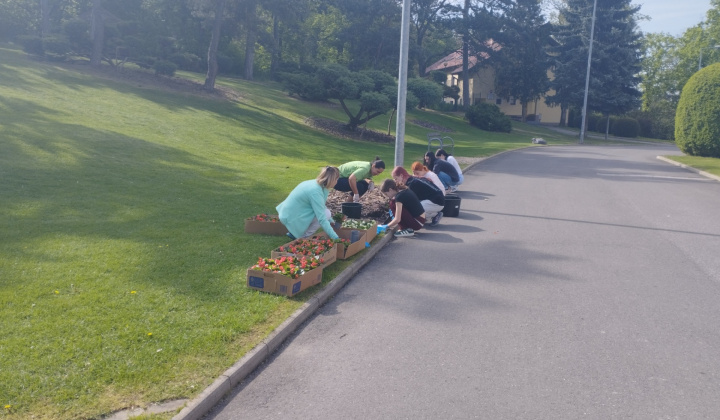 4. fotografia fotogalérie Príležitostné terapeutické aktivity  / Sadenie kvetov - foto