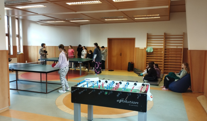 4. fotografia fotogalérie Terapeutické aktivity na pravidelnej báze / Športové aktivity, turnaje - foto