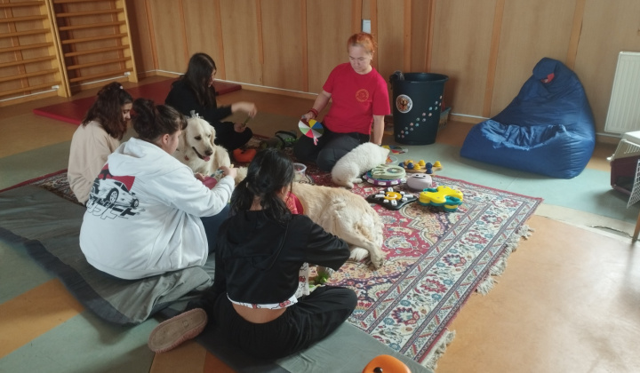1. fotografia fotogalérie Terapeutické aktivity na pravidelnej báze / Canisterapia - foto