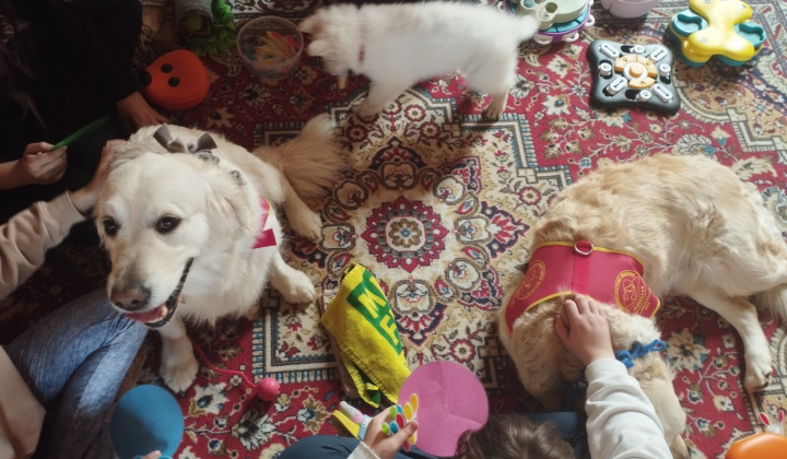 4. fotografia fotogalérie Terapeutické aktivity na pravidelnej báze / Canisterapia - foto